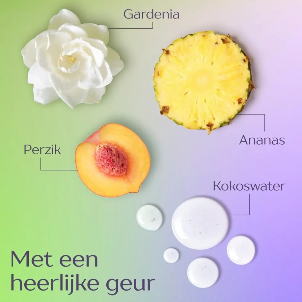 Andrélon Langer Fris Shampoo