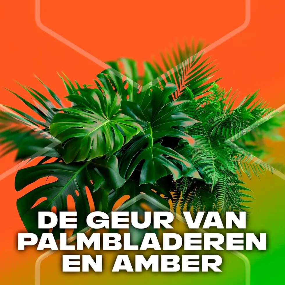 Axe Jungle Fresh Extra Fresh 3-in-1 Douchegel