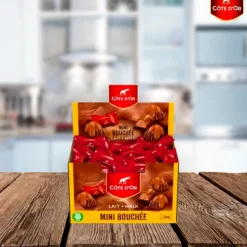 Côte d'Or Chocolade Mini Bouchée Pralines