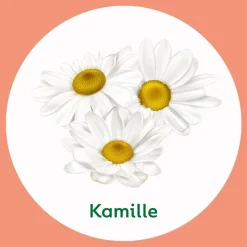 Dettol Chamomile & Cotton Flower Wascrème met Pomp