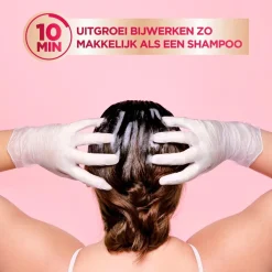 Garnier Color Sensation Color Retouch 3.0 Donkerbruin Haarkleuring