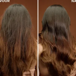 Garnier Loving Blends Argan & Cameliaolie Haarmasker