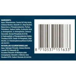 Just For Men Original Formula H-25 Donkerblond Haarkleuring