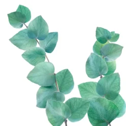 Kneipp Refreshing Eucalyptus Badkristallen