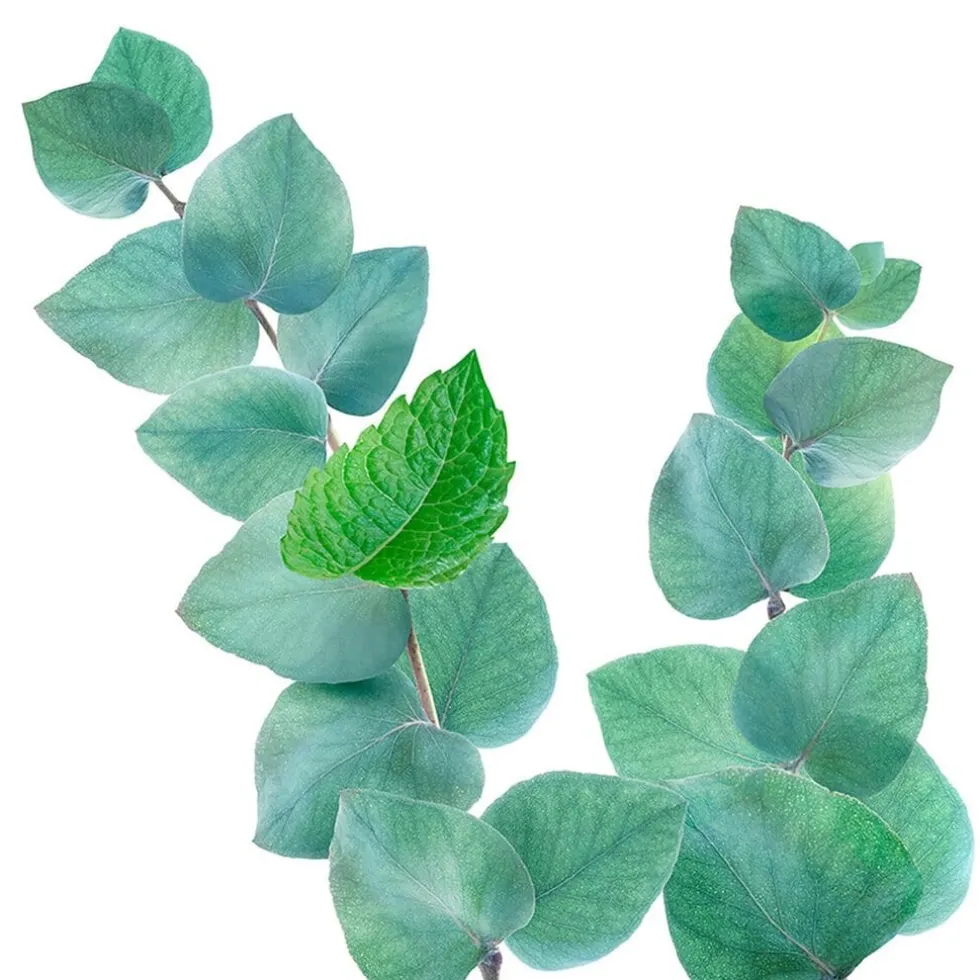 Kneipp Refreshing Mint-Eucalyptus Douchegel