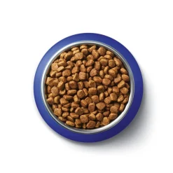 Purina One Adult Rijk aan Zalm Kattenvoer