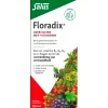 Salus Floradix Vloeibaar IJzer-Elixer