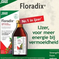 Salus Floradix Vloeibaar IJzer-Elixer