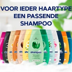 Schwarzkopf Argan Oil & Repair Shampoo