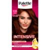 Schwarzkopf Poly Palette 650 Middenbruin Haarkleuring
