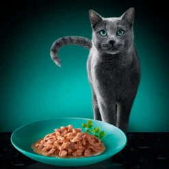 Sheba Délices du Jour in Saus met Kip, Kalkoen en Eend Maaltijdzakjes Kattenvoer