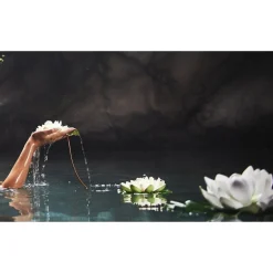 Therme Zen White Lotus Bodyserum