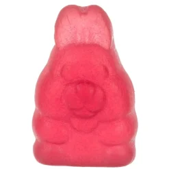 Trekpleister Hair Gummies