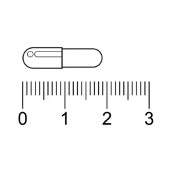 Trekpleister Lactolerantie 4500 FCC Capsules