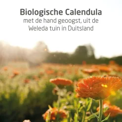 Weleda Baby Calendula Relax Crèmebad