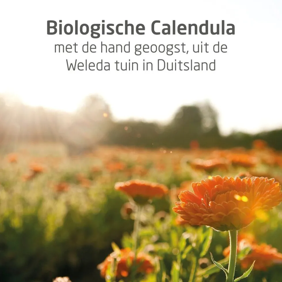 Weleda Calendula Weer en Windbalsem